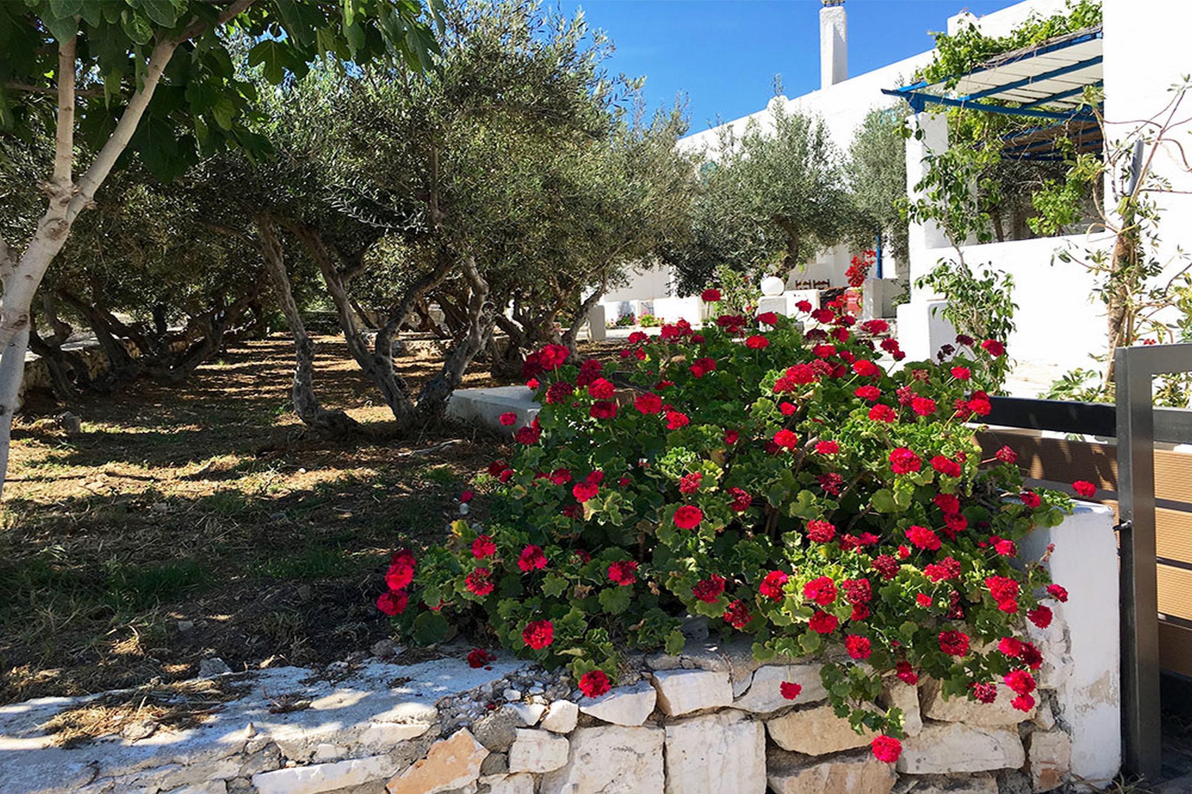 Amaryllis Beach Hotel Chrisi Akti  Exterior foto